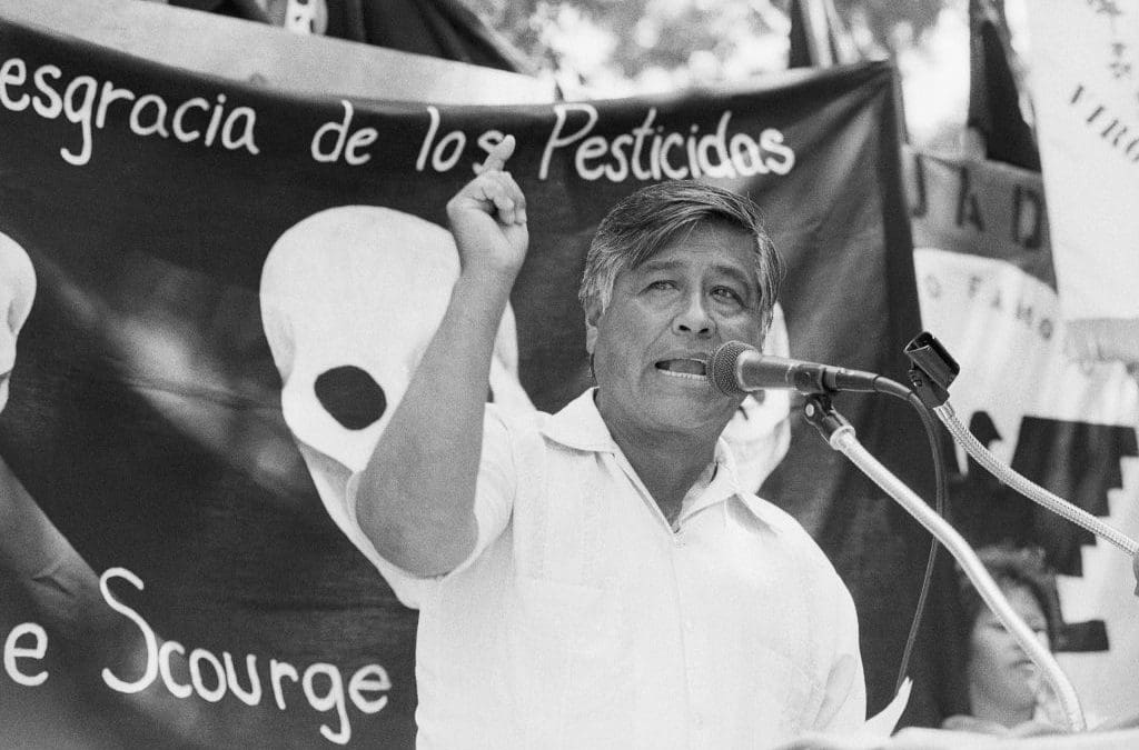A lack of democracy in the United Farm Workers gave Chavez immunity