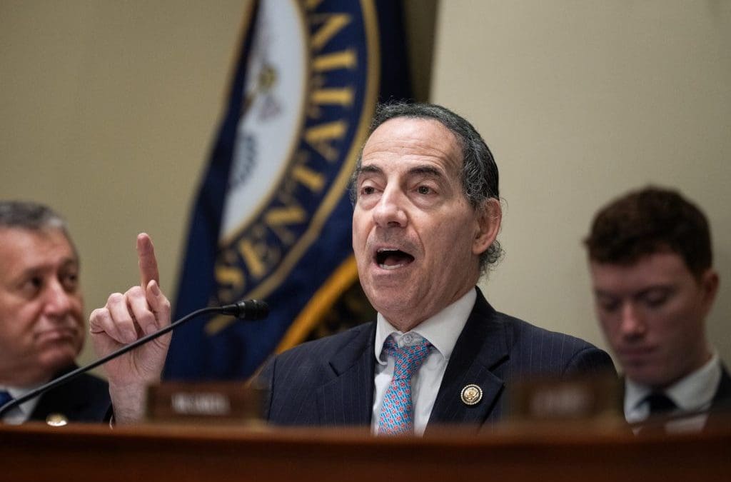 Raskin: ICE is acting like a secret paramilitary police force for the president