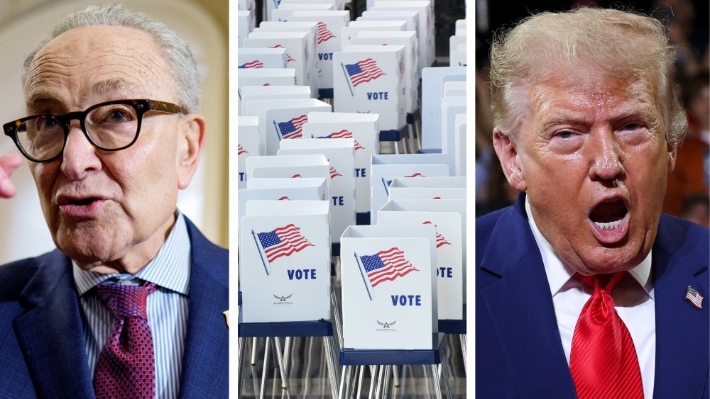 Republicans are calling for faster election results. They have a point.